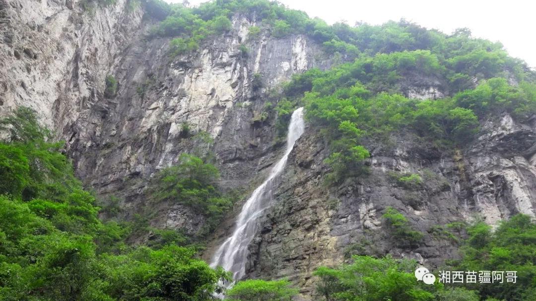 虫虫助手下载